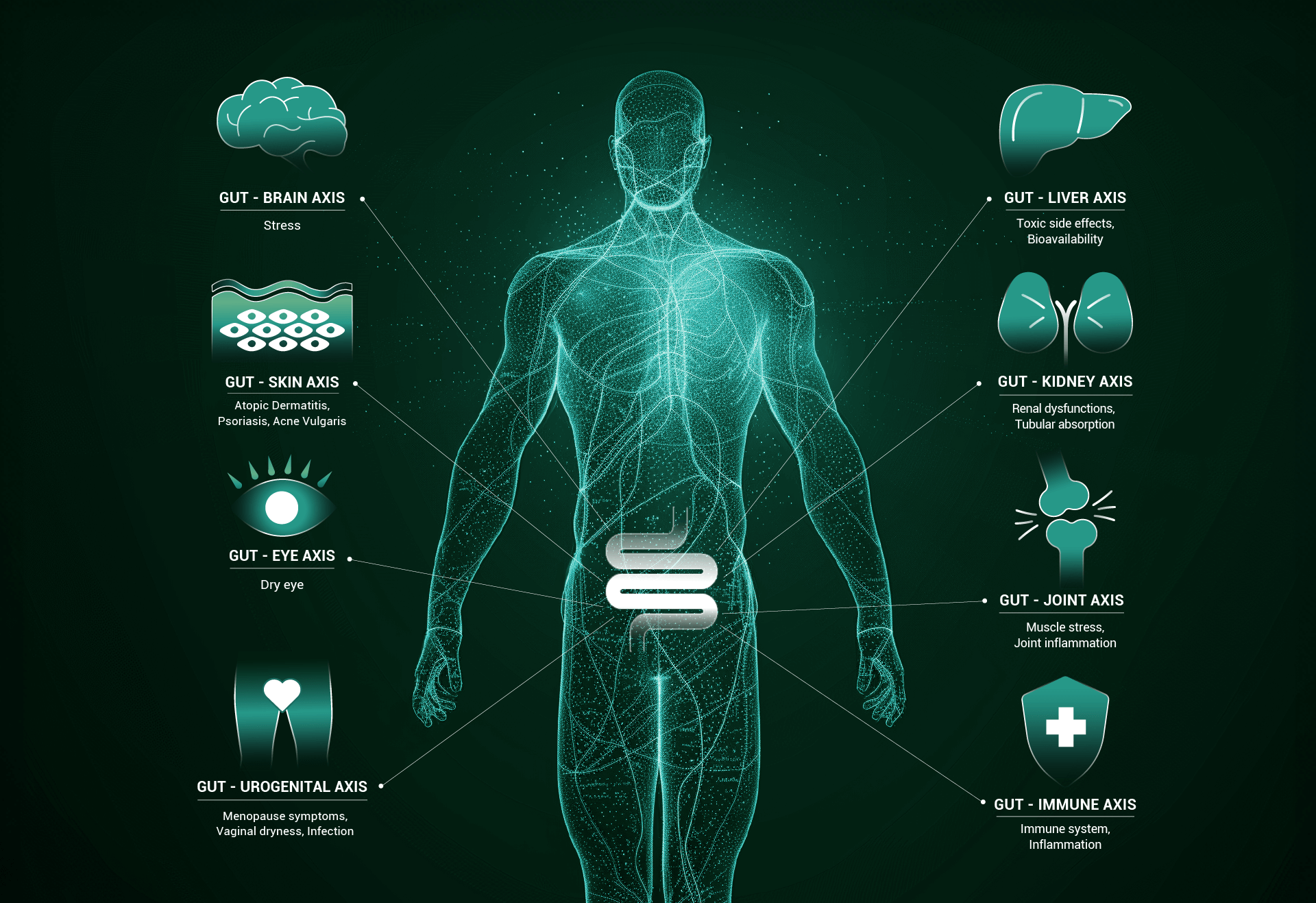 Gut organ axis r4l nutraceutical