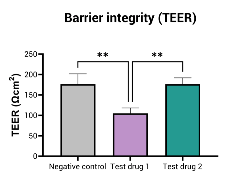 Epithelial Integrity TEER